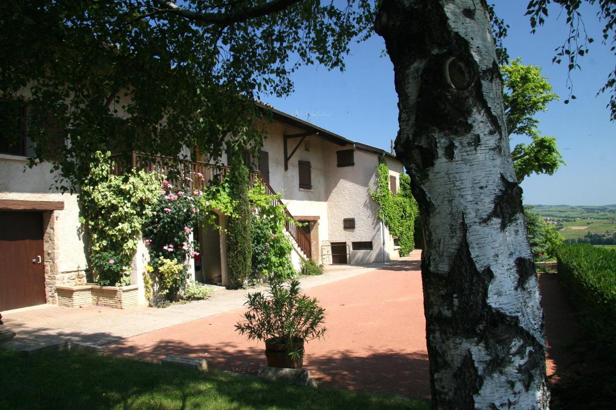 La Croix De Saburin Bed & Breakfast Quincie-en-Beaujolais Ngoại thất bức ảnh
